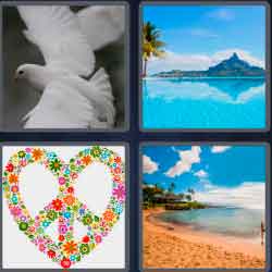 Daily 4 pics 1 word